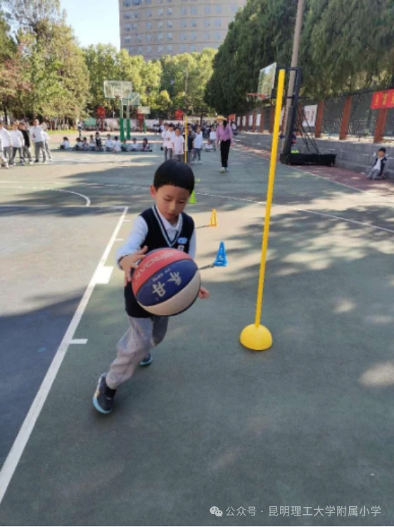 篮球训练活动内容记录范文_1
